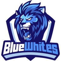 BlueWhites Esports Ltd logo - Similar company to Iggo Oy