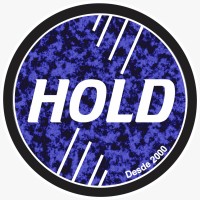 holdautomacao logo - Similar company to Cursinho Do Zinga