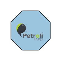Petroli Energy Limited logo - Similar company to Bitmap