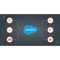 Salesforce Integration 07 logo - Similar company to Cloudanalysts