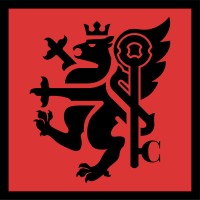Claviuss & Partners logo - Similar company to Medgpt