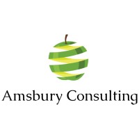 Amsbury Consulting logo - Similar company to Target Fire Protection Ltd