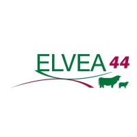 ELVEA 44 logo - Similar company to Émulsion - Conseil En Restauration À 360°