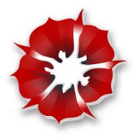Seyal Infotech logo - Similar company to Aarlon Software Solutions Llp