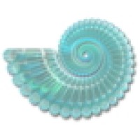 Magic Instinct Software logo - Similar company to Sma Netagis
