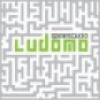 Ludomo Gamestudio logo - Similar company to Htd Gamestudio