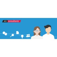 A12 Consultants logo - Similar company to A12