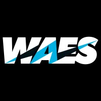 WAES logo - Similar company to Partnerboost B.V.