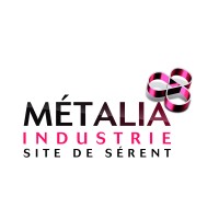 METALIA INDUSTRIE SERENT logo - Similar company to Tmprecision