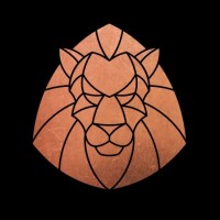 The Dynasty Media logo - Similar company to Skydro