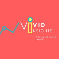 Vivid Insights logo - Similar company to Digital Natives