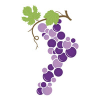 Calabria Wild Wine logo - Similar company to Liquirgam - Fabbrica Di Liquirizia Di Calabria Dop Biologica