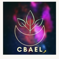 CBAEL Consulting | IT Services | Engineering Services logo - Similar company to People Hq
