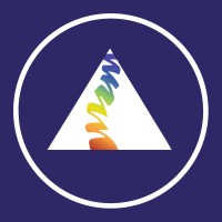 Pinnacle Hill Chiropractic logo - Similar company to Cfa Society Rochester