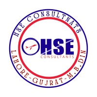 HSE Consultants logo - Similar company to Rainbow Eco Activists