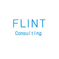 Flint Technology | Consulting logo - Similar company to Dataglobe - Email Marketing | Seo | Social Media Marketing