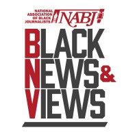 Black News & Views logo - Similar company to Dekka Financial
