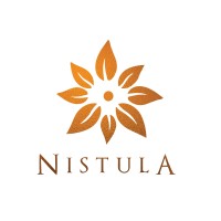 Nistula logo - Similar company to Unplan