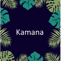 The Kamana logo - Similar company to 5D Web Studio