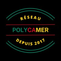 PolyCamer logo - Similar company to Réseau Polycamer