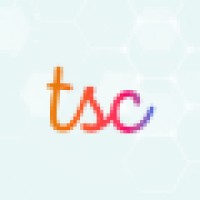 Talentstream Consulting logo - Similar company to Ss Manpower Solutions