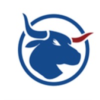 BULLHEADS logo - Similar company to Zausinger Gmbh & Co. Kg