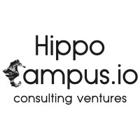 Hippocampus.io logo - Similar company to Stageyouridea