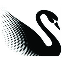 Black Swan PNG logo - Similar company to Executive Security Systems Ltd