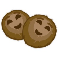 Double Coconut - Mobile and Web Game Development logo - Similar company to Noor Games