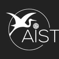 The Aist Project logo - Similar company to Icebridge Insurance