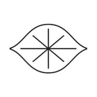 Electric Lemon logo - Similar company to Salazar