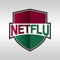 NETFLU logo - Similar company to Northstar Media, Llc