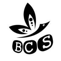 BBCS : Brikbond consultancy services