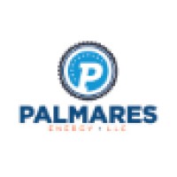 Palmares Energy logo - Similar company to Thrive Courses