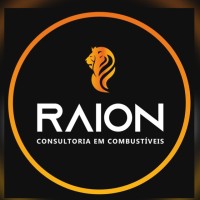 Raion Consultoria logo - Similar company to Combudata