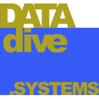 DataDive.systems