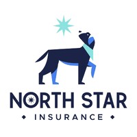 North Star Insurance LLC logo - Similar company to North Star Insurance Advisors