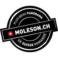 MOLESON.CH logo - Similar company to Wengernalpbahn Ag
