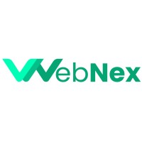WebNex Agency logo - Similar company to Webnex