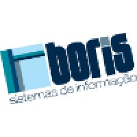 Boris Sistemas De Informação