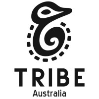 TRIBE Swimwear logo - Similar company to Mister Mann