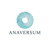 ANAVERSUM GmbH logo - Similar company to Brainstork