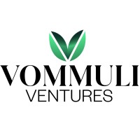 Vommuli Ventures logo - Similar company to Winegard Company