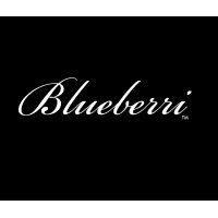 Blueberri logo - Similar company to Blueberri