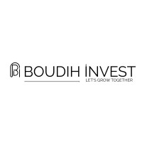 Boudih Invest logo - Similar company to Optibudgets