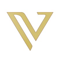 Valith AI Solutions logo - Similar company to Stemxglobal