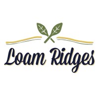 Loam Ridges Olive Oil