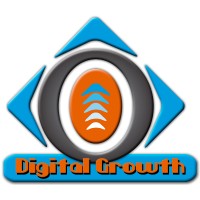 DigitalGrowth México logo - Similar company to Kisson