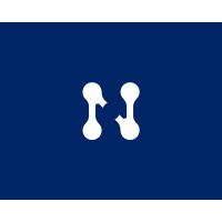 NeulinkAI logo - Similar company to Moonboots Dao