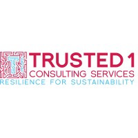 Trusted1 Consulting Services, LLC. logo - Similar company to Ember Managed Security And It